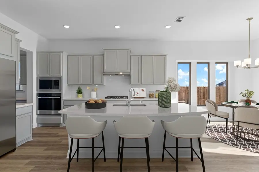 244 Basketflower Drive, Waxahachie, TX 75165 - Image #3