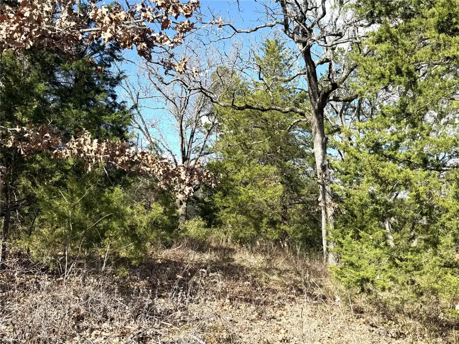 15899 Crazyhorse Drive, Lindale, TX 75771 - #3