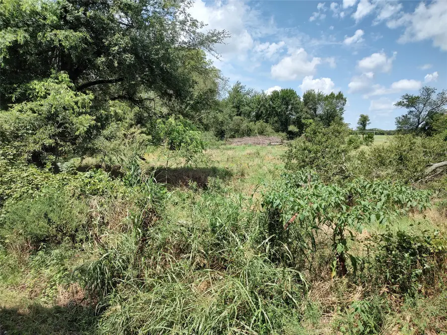 TBD County Rd 1119, Brashear, TX 75420 - #2