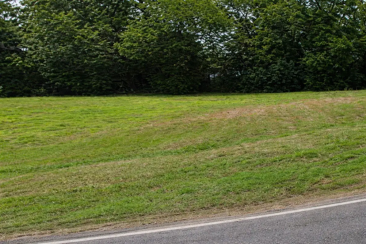 102 Frisco Street, Cumby, TX 75433 - #1