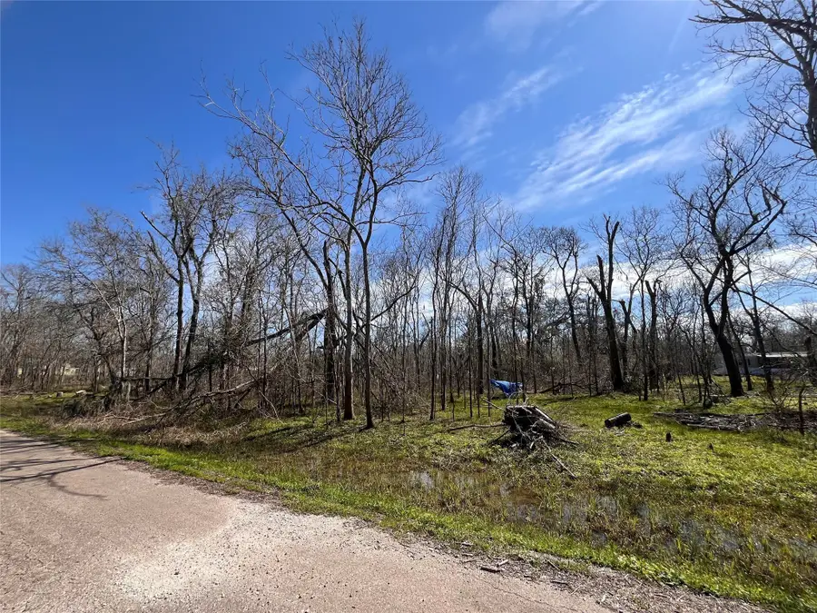 TBD Penguin Lane, Holiday Lakes, TX 77515 - #2