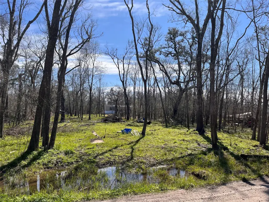 TBD Penguin Lane, Holiday Lakes, TX 77515 - #3