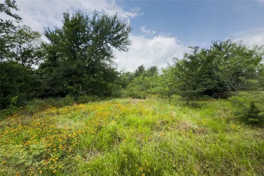 Lot 1 County Road 173, Marlin, TX 76661 - #2