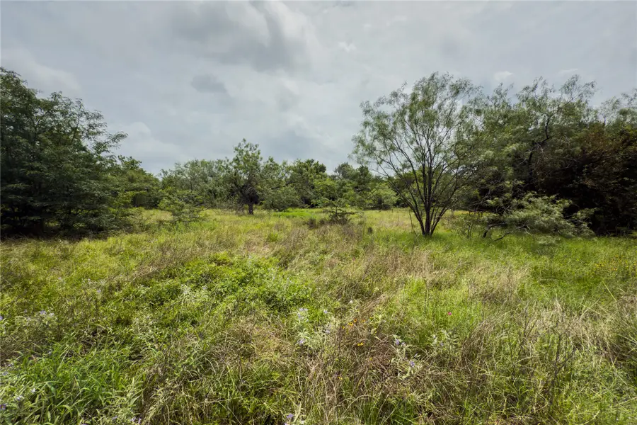 Lot 1 County Road 173, Marlin, TX 76661 - #3