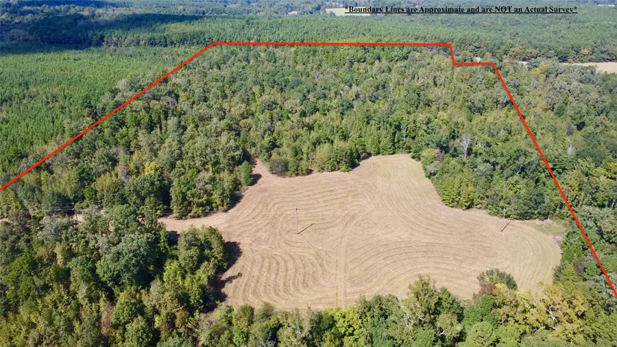 TBD Cr 2738, Naples, TX 75568 - Image #2