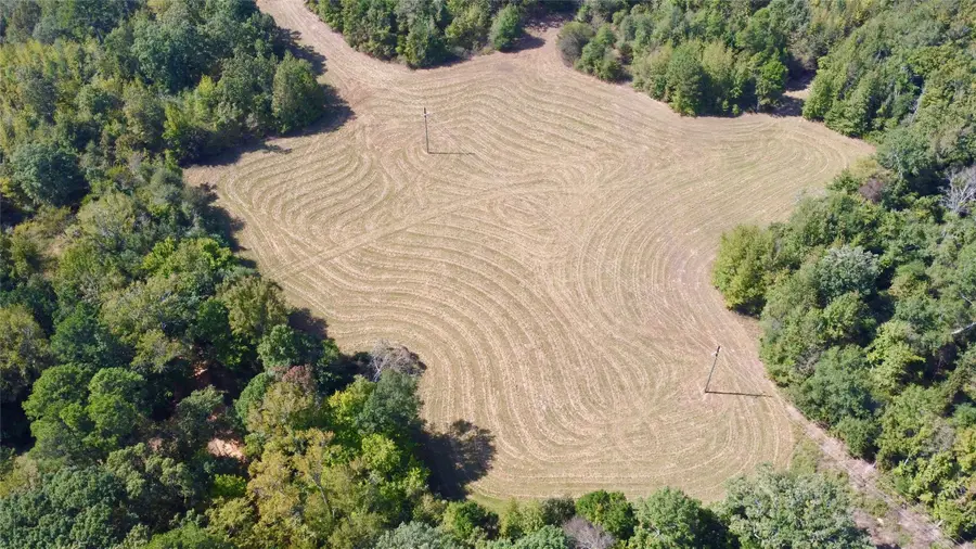 TBD Cr 2738, Naples, TX 75568 - Image #3