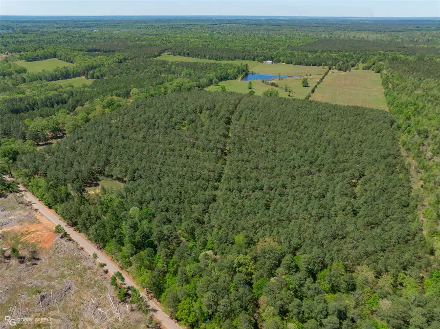 260 Circle M Road, Benton, LA 71006 - #2