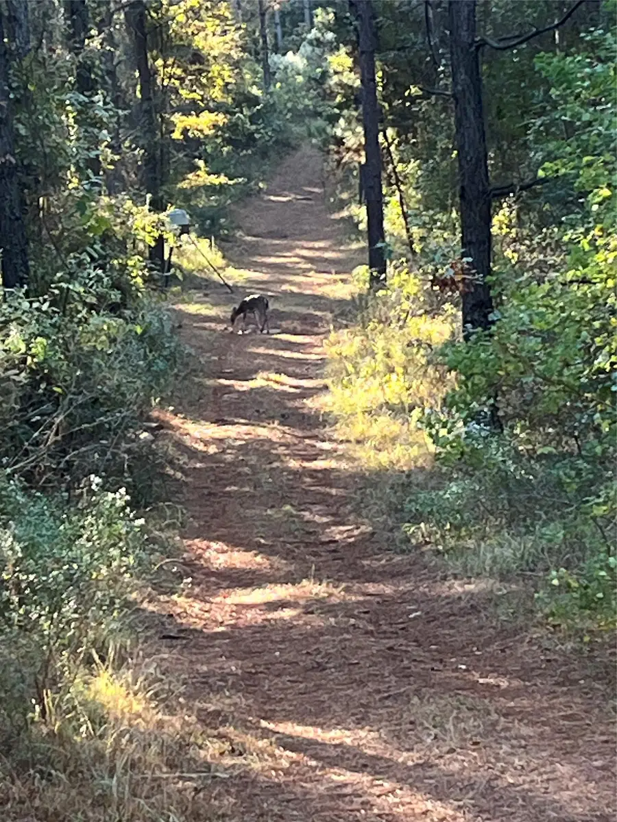 260 Circle M Road, Benton, LA 71006 - #3