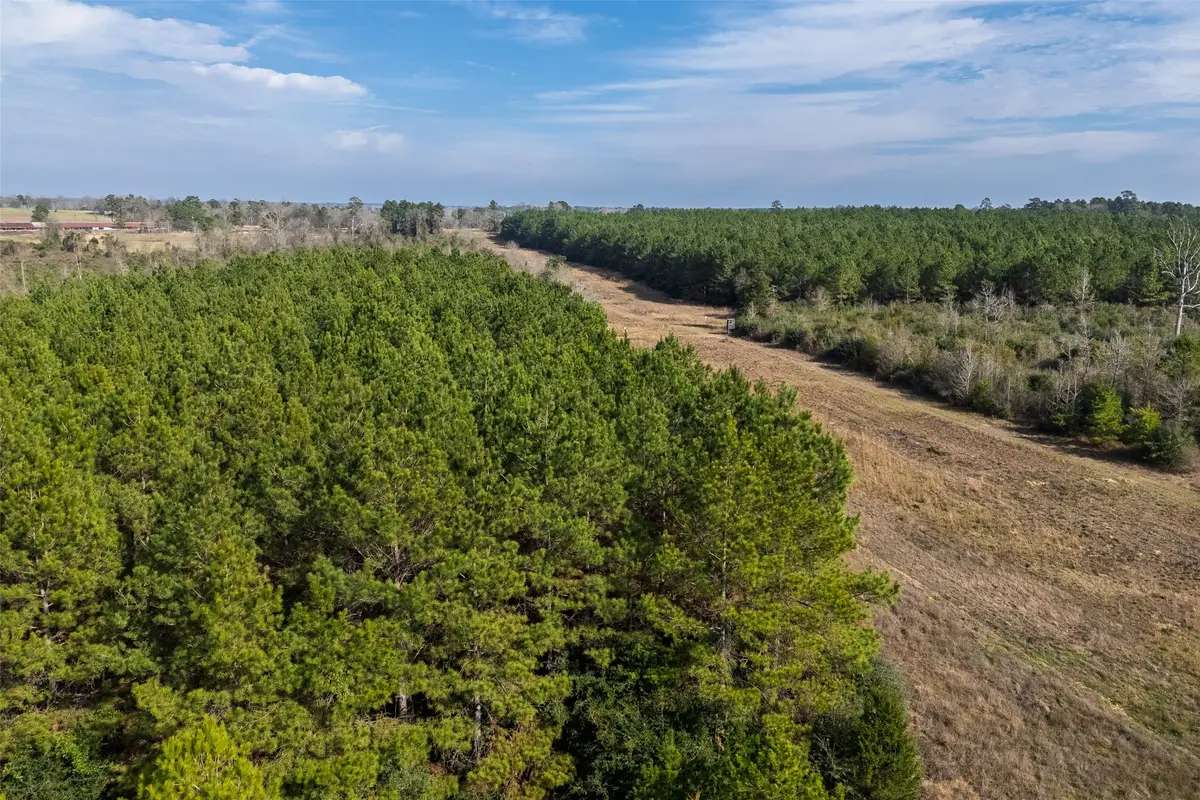 000 County Road 1245, Center, TX 75935 - Image #1
