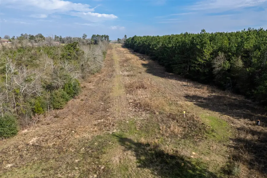 000 County Road 1245, Center, TX 75935 - Image #2