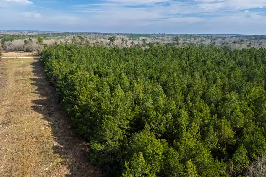 000 County Road 1245, Center, TX 75935 - Image #3