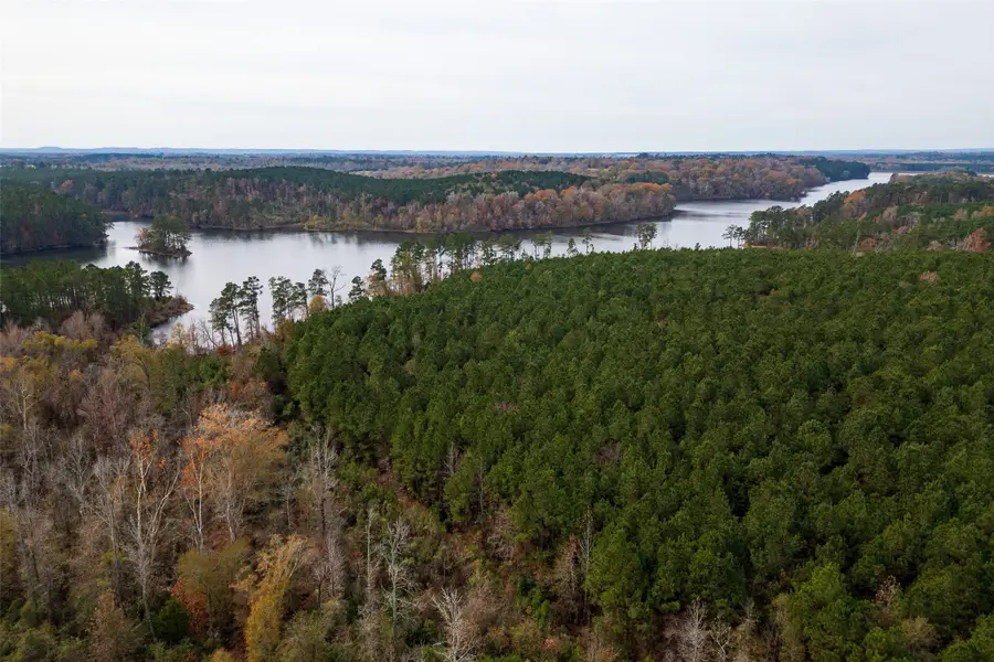 00 County Road 1211, Center, TX 75935 - Image #2