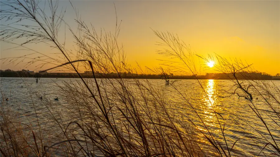 UNK Camp Creek Road, Temple, TX 76501 - Image #3