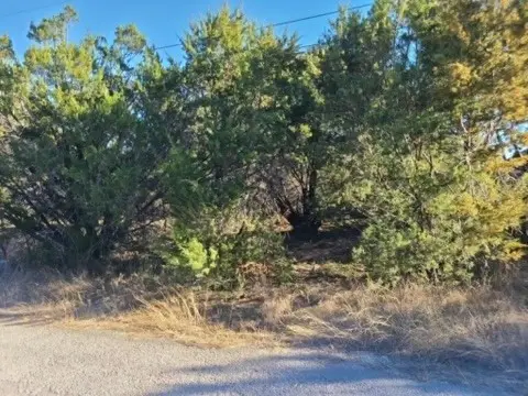 2527 Mercedes Street, Granbury, TX 76048 - Image #3