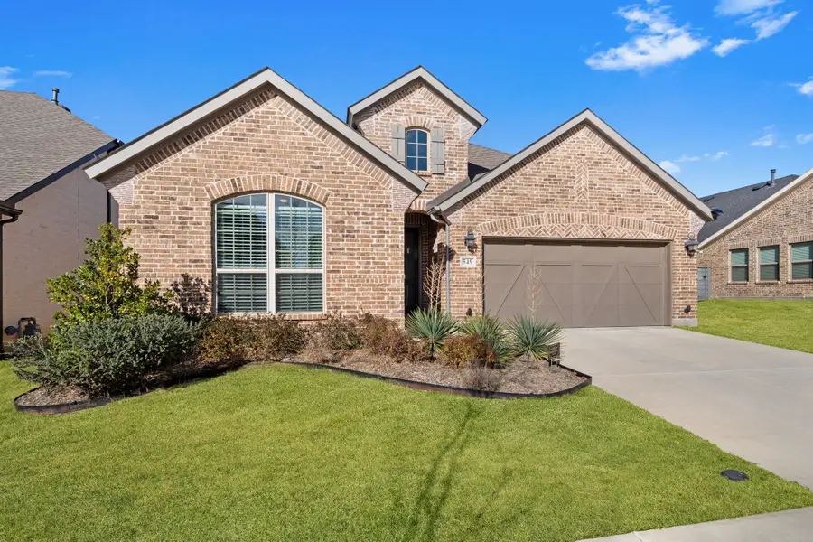 549 Cedarwood Street, Little Elm, TX 76227 - Image #2