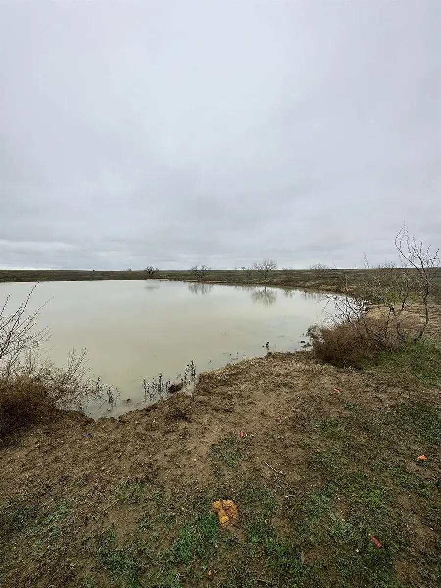 50.61 Acres Ohanlon Road, Southwest Grayson, TX 76268 - #3