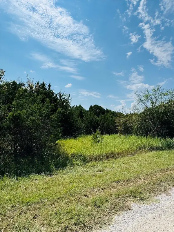 36060 Cedar Ridge Drive, Whitney, TX 76692