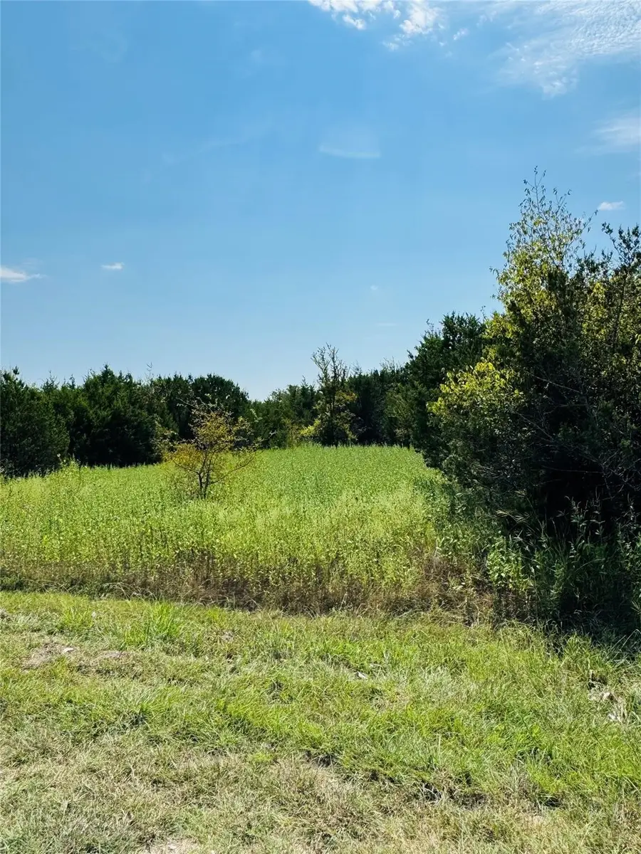 36060 Cedar Ridge Drive, Whitney, TX 76692 - #3