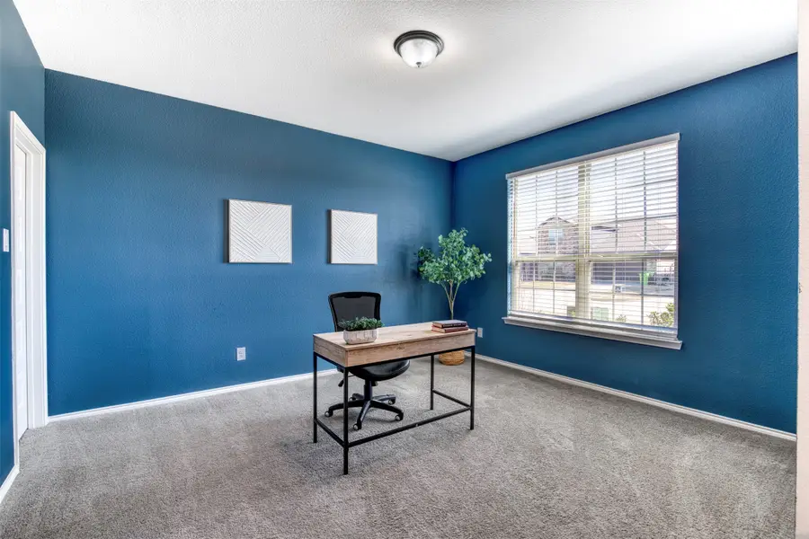 1437 Pleasant Knoll Trail, Aubrey, TX 76227 - #3