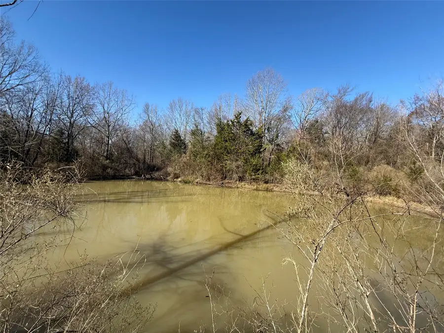 12980 Fm 44 S, Avery, TX 75554 - #2