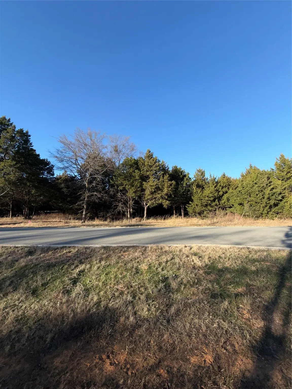 Lot 3 Forest Hills Drive, Gordonville, TX 76245 - #1