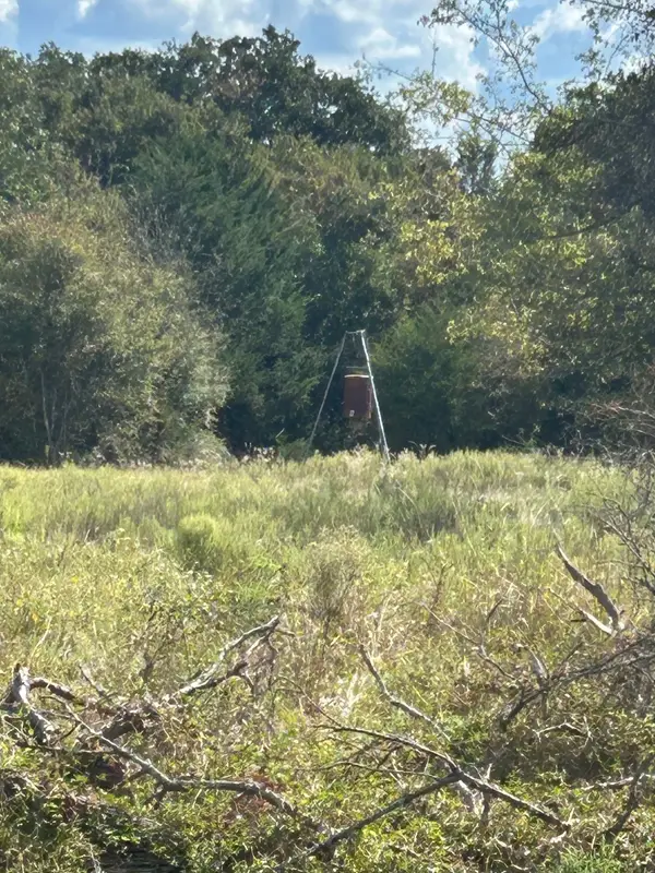 TBD Fm 937, No City, TX 76687