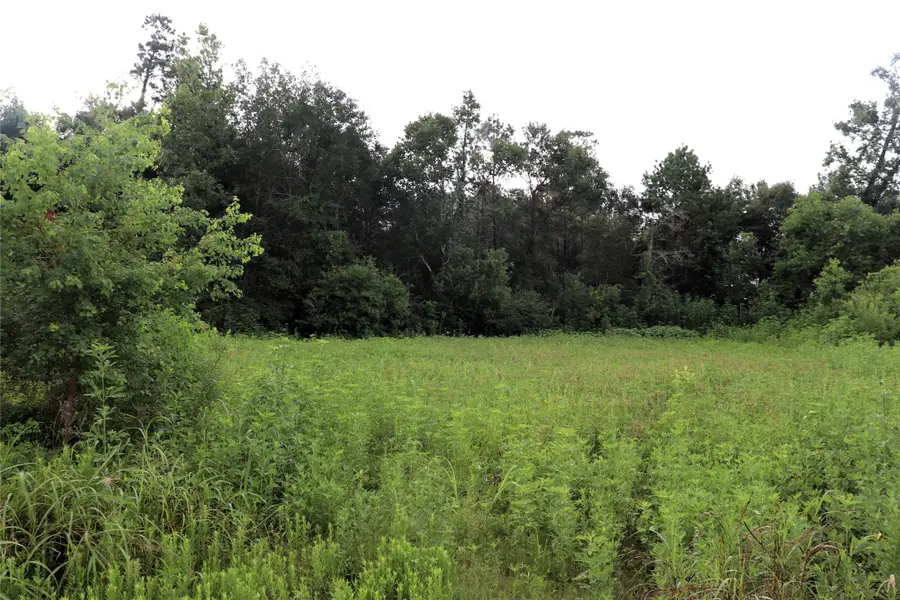 2.8 ac Hwy 90, Devers, TX 77575 - #2