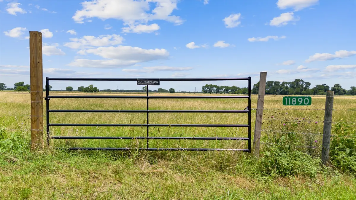 TBD (Tract 1) County Road 318, Caldwell, TX 77836 - Image #1