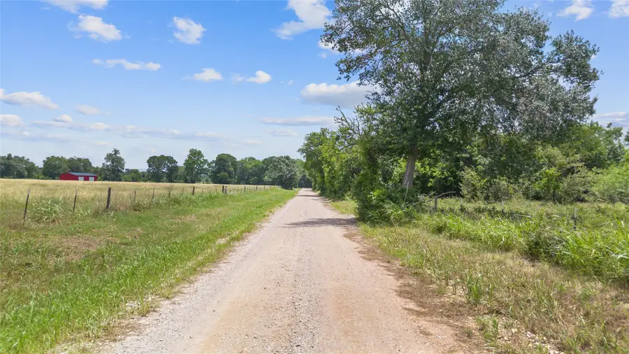 TBD (Tract 1) County Road 318, Caldwell, TX 77836 - Image #3