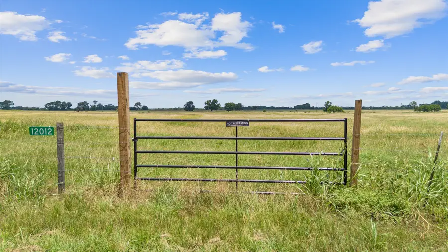 TBD (Tract 8) County Road 318, Caldwell, TX 77836 - Image #2