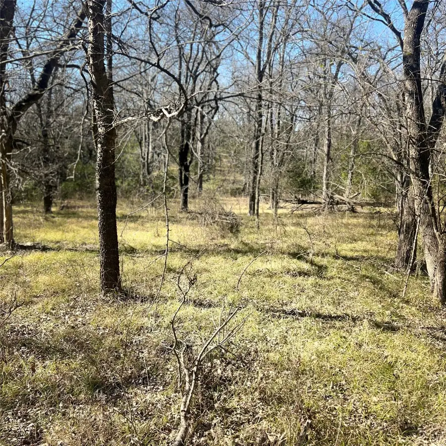 TBD Tx-154, Sulphur Springs, TX 75482 - Image #3