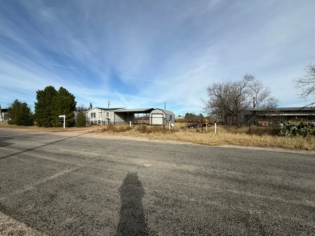 201 Pine Road, Big Spring, TX 79720 - #1