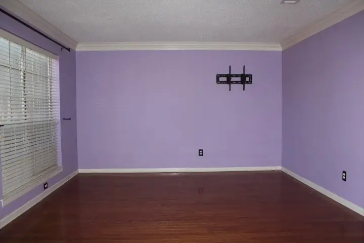 2070 Arena Drive, Lewisville, TX 75067 - Image #3