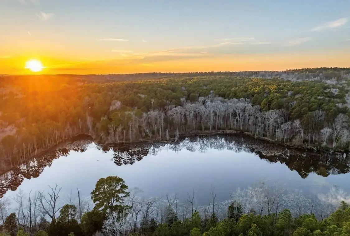 TBD An County Road 314, Frankston, TX 75763 - Image #1