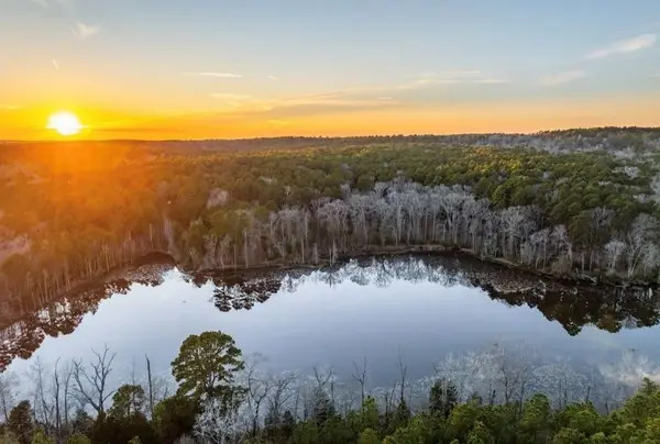 TBD An County Road 314, Frankston, TX 75763