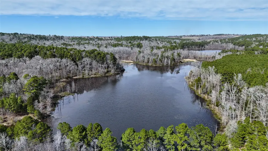 TBD An County Road 314, Frankston, TX 75763 - Image #3