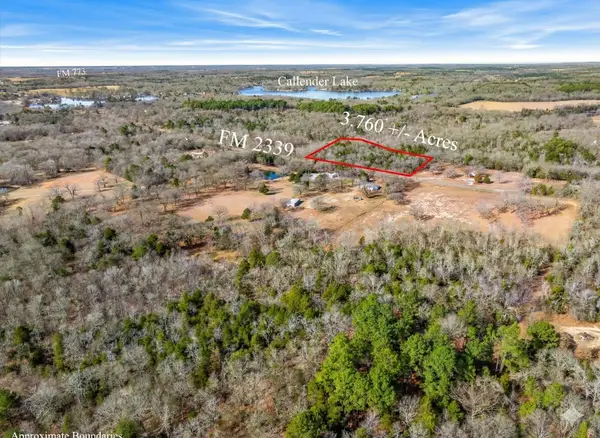 Lot 20,21,22 Fm 2339 (callender Lake X), Murchison, TX 75778
