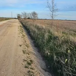 1105 Cr 611, Hamilton, TX 76531 - Image #2