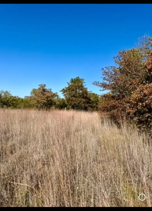 TBD E Fm 2210 Highway, Perrin, TX 76486 - #2