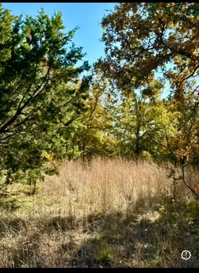 TBD E Fm 2210 Highway, Perrin, TX 76486 - #3