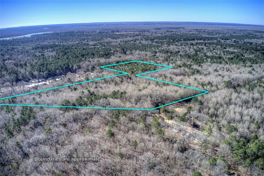 TBD County Road 3460, Hawkins, TX 75765 - #2