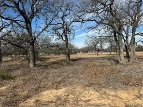 TBD Cr 2030 Lot 8, Glen Rose, TX 76043 - #1