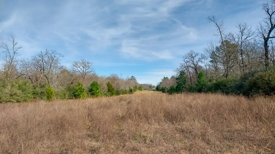 00 Fm 1511, Buffalo, TX 75831 - #2