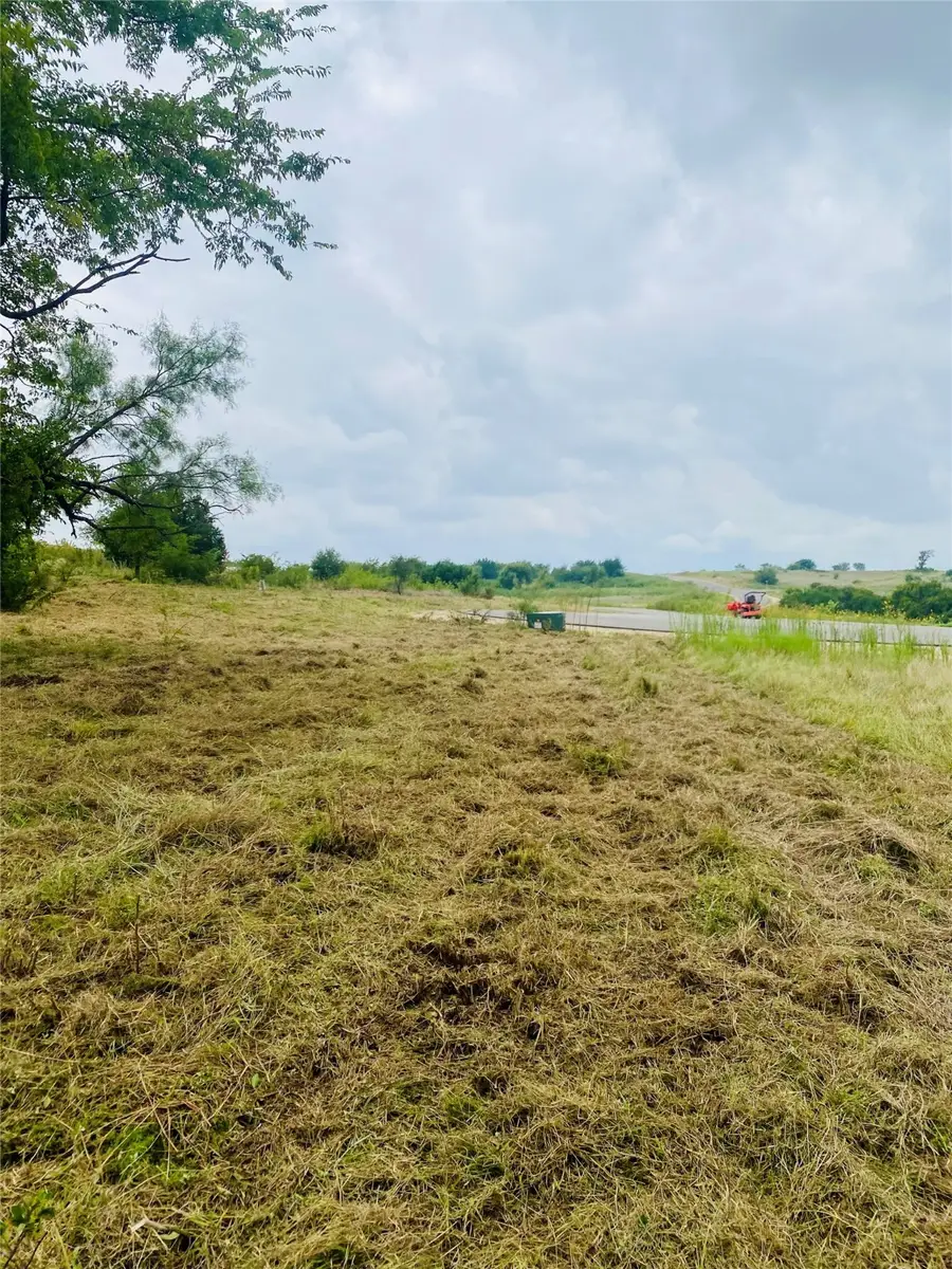 3141 Outlaw Drive, Cresson, TX 76035 - #3