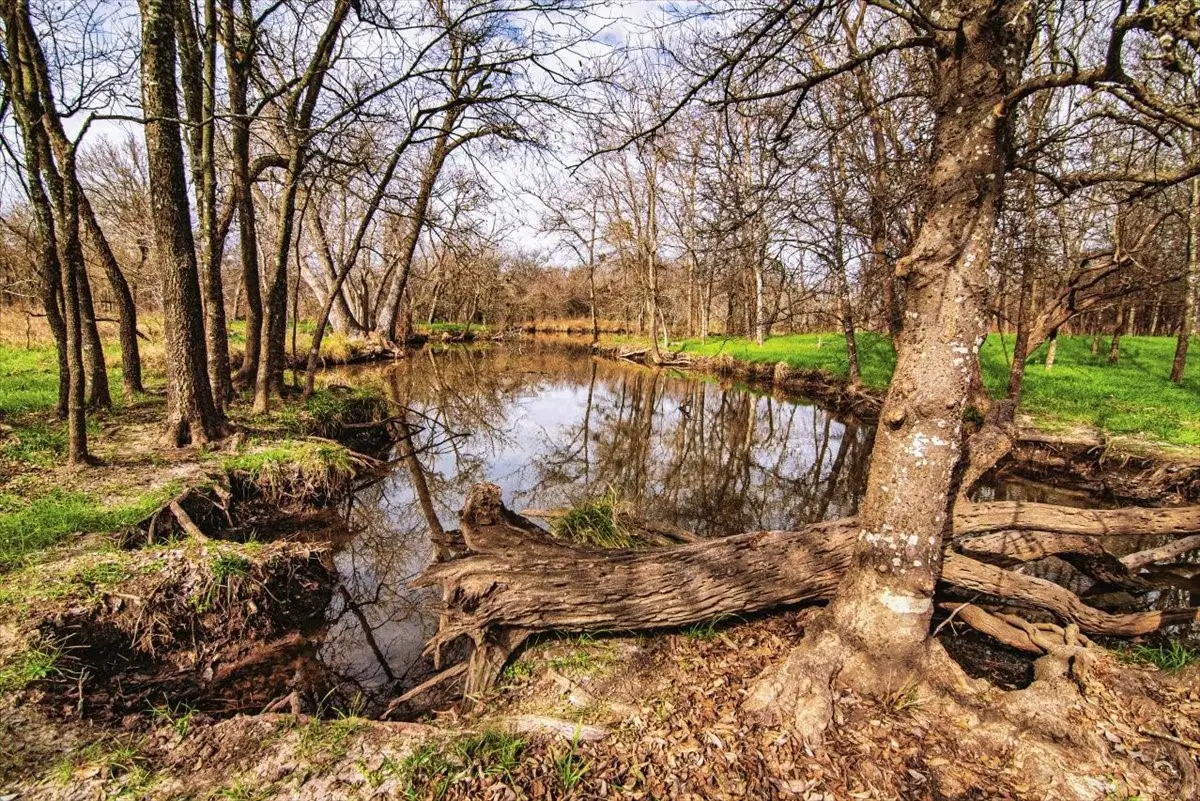 TBD Lcr 623, Groesbeck, TX 76642 - #1