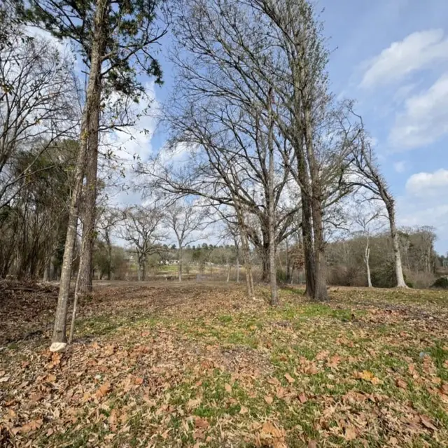 1002 N Hamlett Street, Athens, TX 75751 - #2