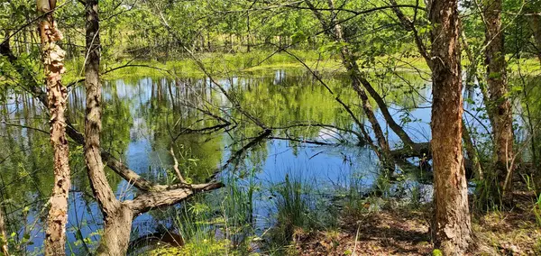 400 County Road 2775, Mineola, TX 75773