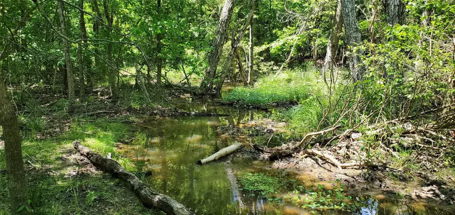 400 County Road 2775, Mineola, TX 75773 - #3