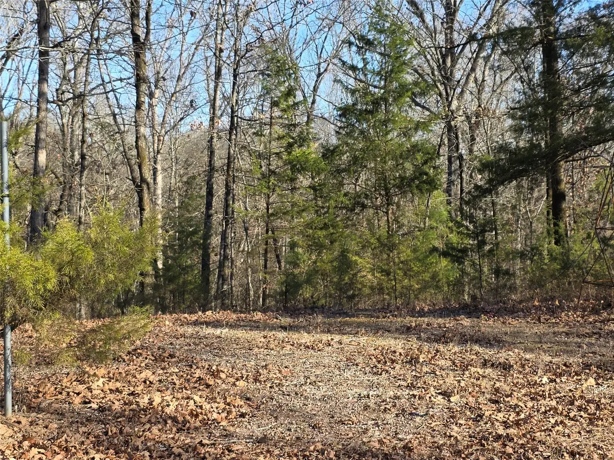 1191 County Road 3333, Omaha, TX 75571 - Image #1