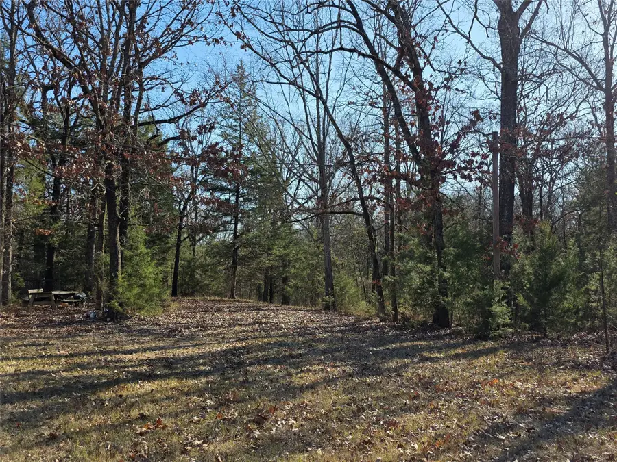 1191 County Road 3333, Omaha, TX 75571 - Image #2